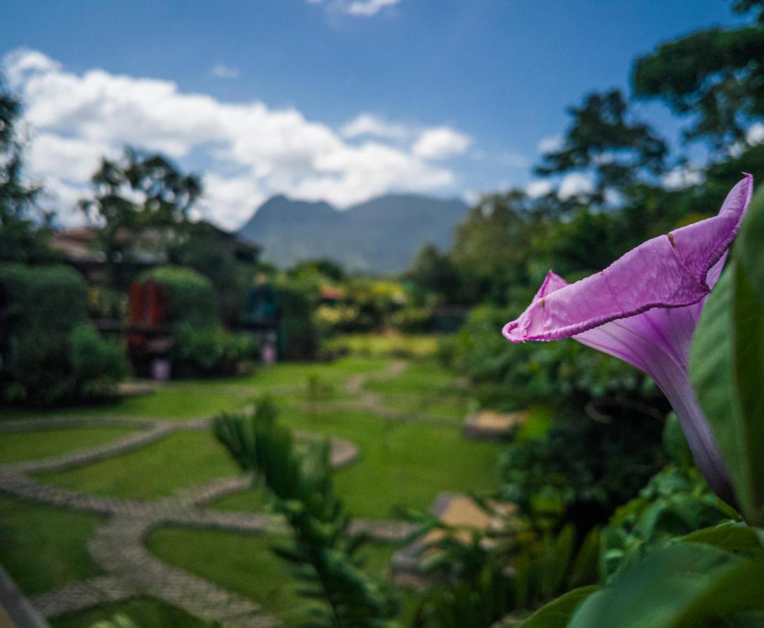 Arenal Backpackers Resort La Fortuna Exteriör bild View of the San Juan Mountains from the San Juan del Monte