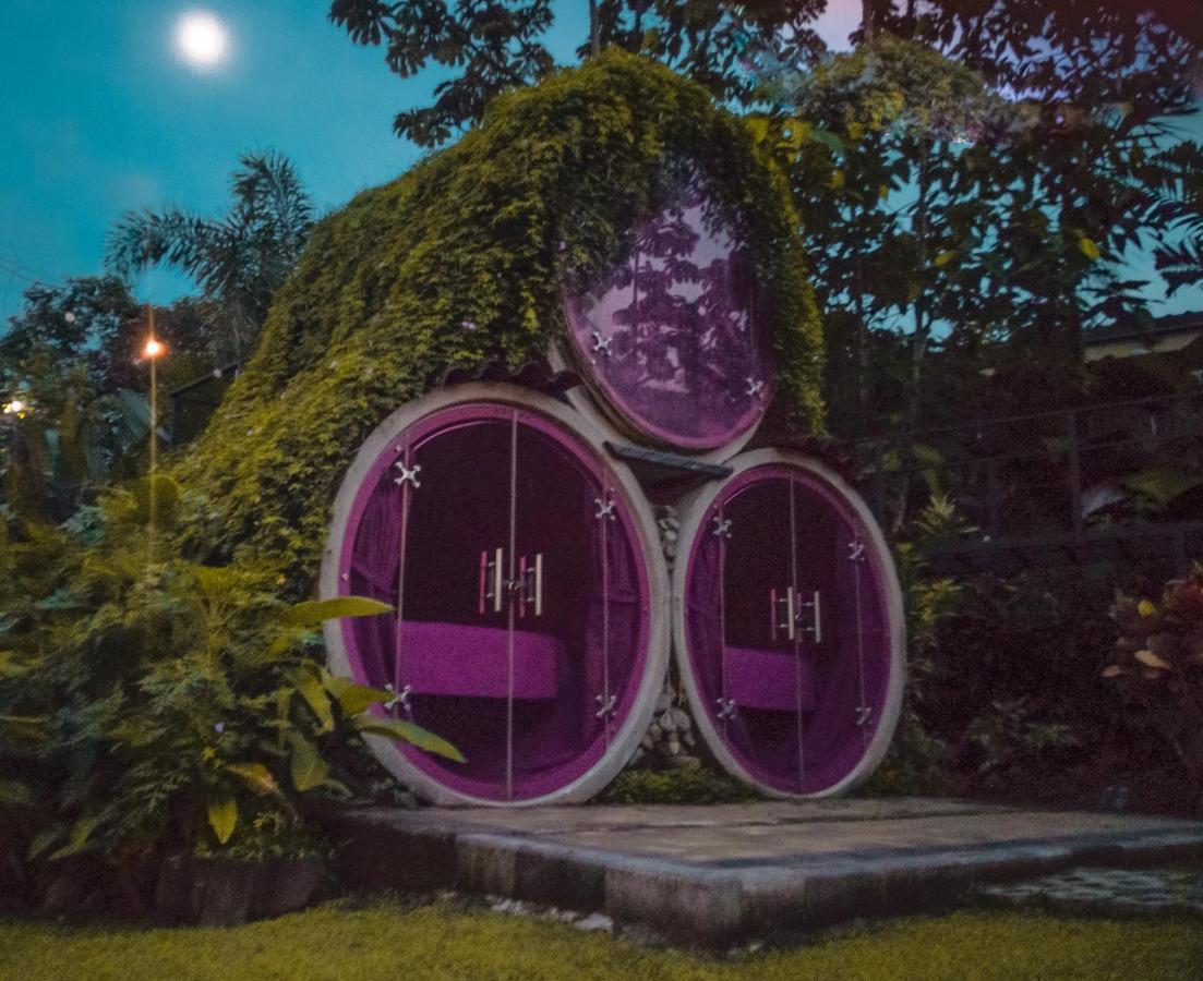 Arenal Backpackers Resort La Fortuna Exteriör bild The Hobbit Hole