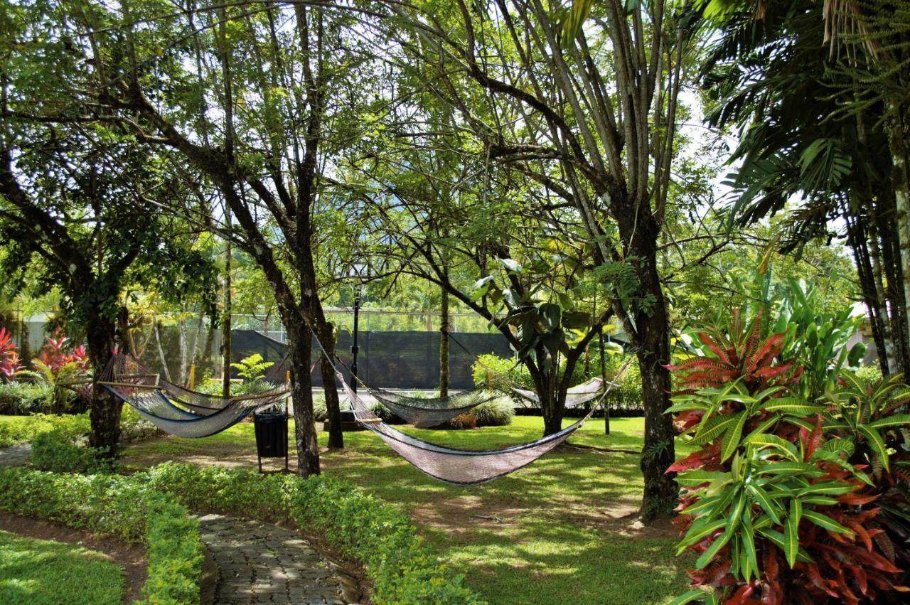 Arenal Backpackers Resort La Fortuna Exteriör bild Hammocks at the University of Hawaii at Hilo